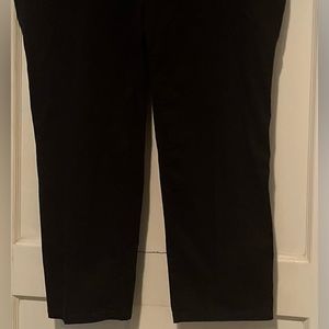 Lee All Day Pant 22W Petite